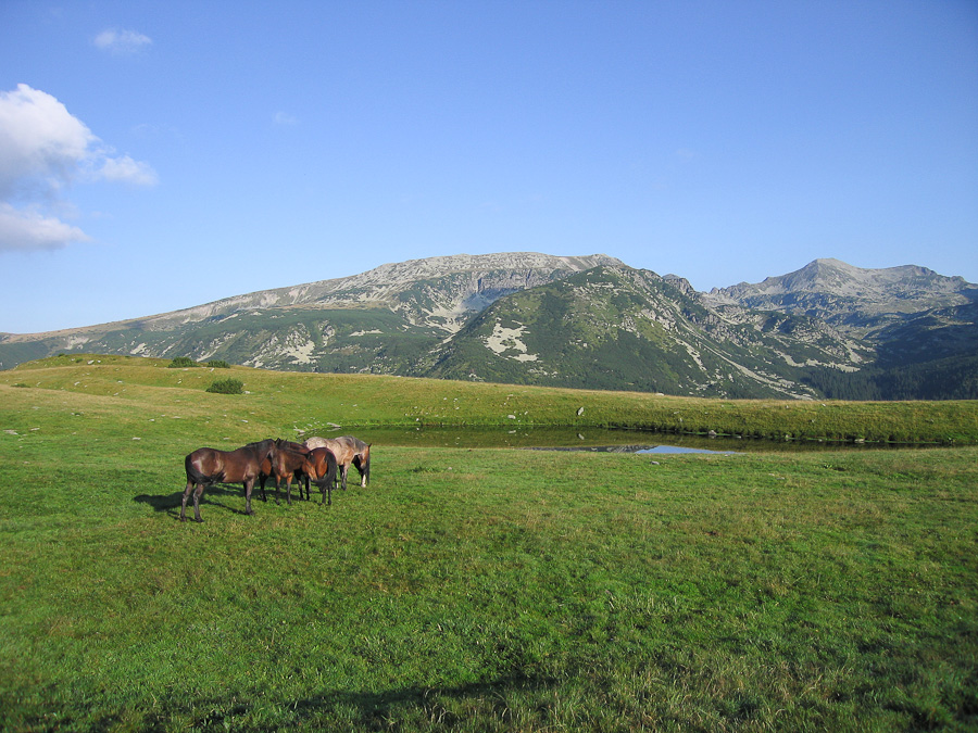 IMG_9565 --- 07:03 08.08.2011 ---   